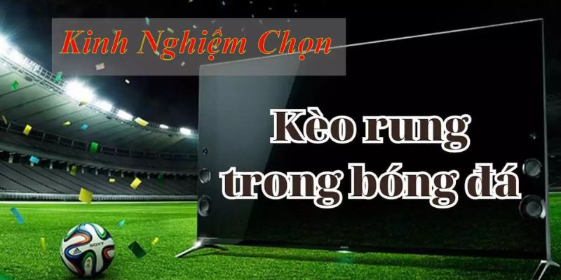 Kèo Rung 99OK - Cập Nhật Nhanh Loại Hình Đặt Cược Hấp Dẫn